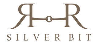 Logo Silver Bit